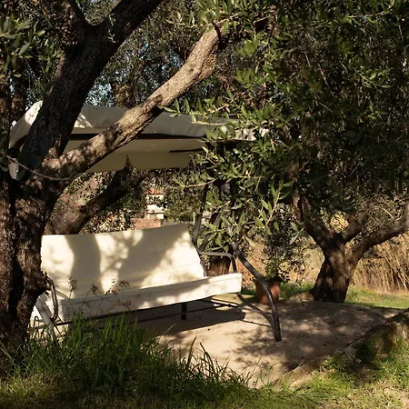 Abruzzo Relaction Bed & Breakfast *